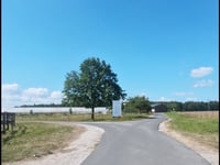 Wehlener Plateau von Wehlen