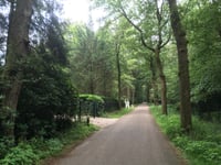 Weikamperweg depuis Hoenderloo