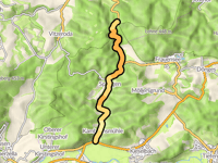 Weinberg da Springen