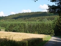 Weiswampach from Malscheid