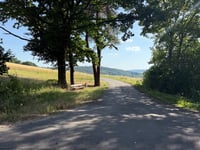 Werngeskuppe z Solms