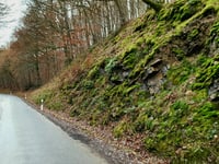Wershofen von Fuchshofen