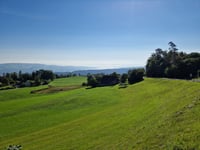 Wesenmattstrasse von Sihlbrugg
