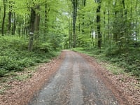 Longinusturm von Steverquellen