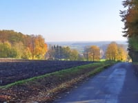 Westerhiege von Darup