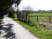 Weywertz via Wallbrückstrasse