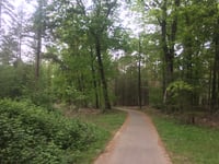 Wezeperberg von Heerderstrand