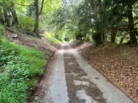 White Lane von Middle Assendon