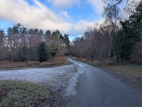 Whitswood Steep