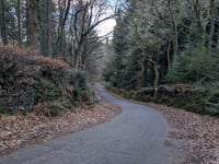 Whitswood Steep