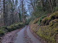 Whitswood Steep