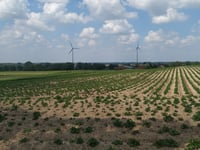 Krobsberg desde Sonsbeck