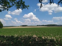 Krobsberg desde Sonsbeck