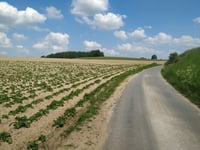 Krobsberg desde Sonsbeck