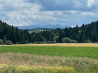 Wierch Rusiński da Białka Tatrzańska