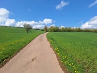 Wiesenberg da Höddelbach