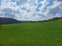 Wiesenberg da Höddelbach