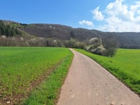 Wiesenberg da Höddelbach