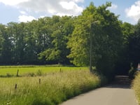 Wijndries da Wersbeek