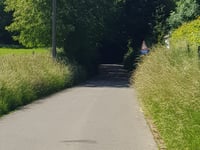 Wijndries da Wersbeek