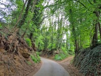 Wijndries da Wersbeek
