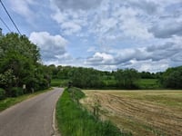 Wijndries da Wersbeek