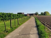 Wijngaardsberg da Ulestraten