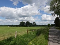 Wilbankstrasse über Pfeiferweg