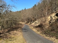 Wildbretshügel von Rursee