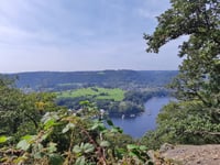 Wildbretshügel von Rursee