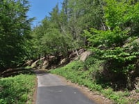 Wildbretshügel von Rursee
