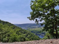 Wildbretshügel von Rursee