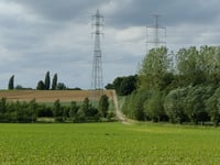 Wilderberg von Martenslinde