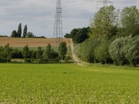 Wilderberg von Martenslinde