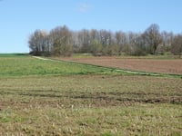 Wilderberg von Martenslinde