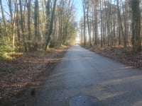 Wildernisstraat über Molenweg