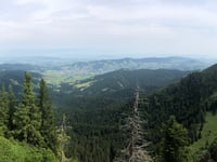 Wildspitz from Sattel