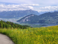 Wildspitz from Steinerberg
