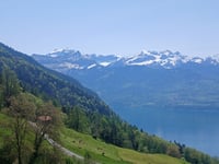 Wilerallmi von Gunten über Wilerallmistrasse