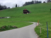 Wilerallmi von Gunten über Wilerallmistrasse