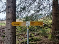 Wilerallmi von Gunten über Wilerallmistrasse