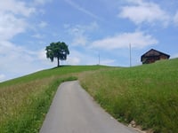 Wilerallmi von Gunten über Züntihohle