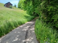 Wilerallmi von Gunten über Züntihohle