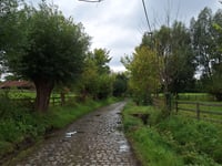 Wilgenbaan desde Mierendonk