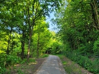 Wilhelminaberg por Mijnsteenpad