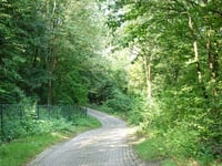 Wilhelminaberg por Mijnsteenpad