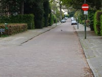 Wilhelminalaan von Soestdijk