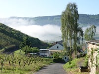 Willersbach via Borgasse
