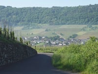 Willersbach via Borgasse
