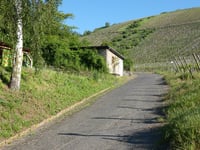 Willersbach via Borgasse